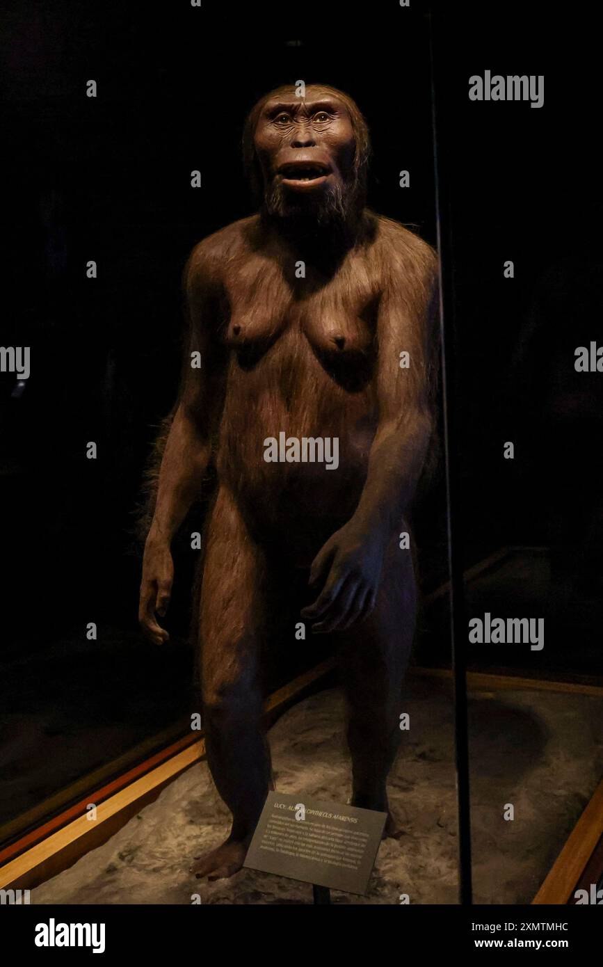 Caveman, Neanderthal, Primate, Homo Habilis, Homo Rudolfensis, Homo ...