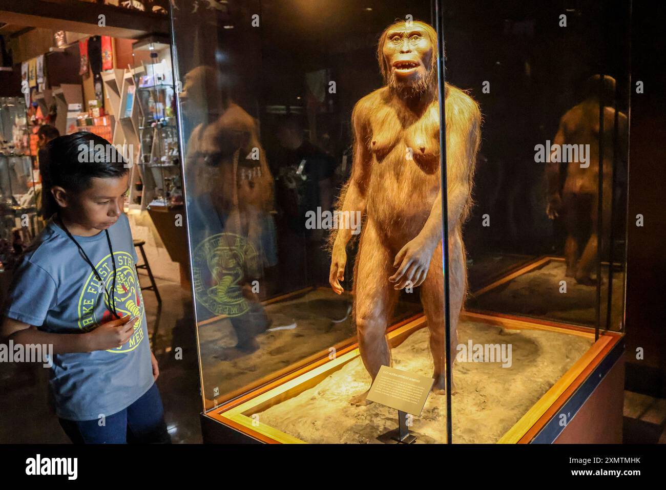 Caveman, Neanderthal, Primate, Homo Habilis, Homo Rudolfensis, Homo ...