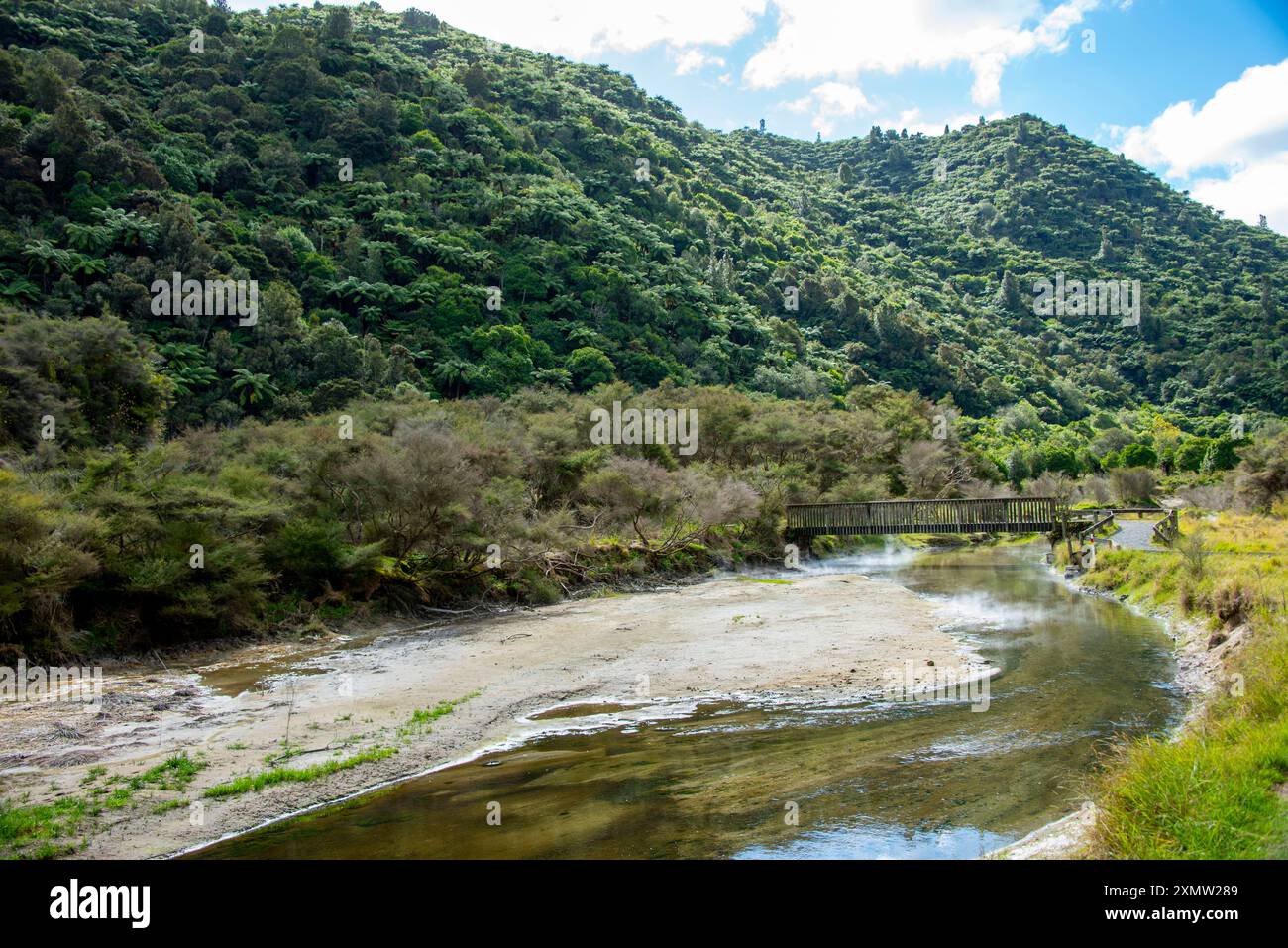 Geothermal River in Waimangu Volcanic Valley - New Zealand Stock Photo ...