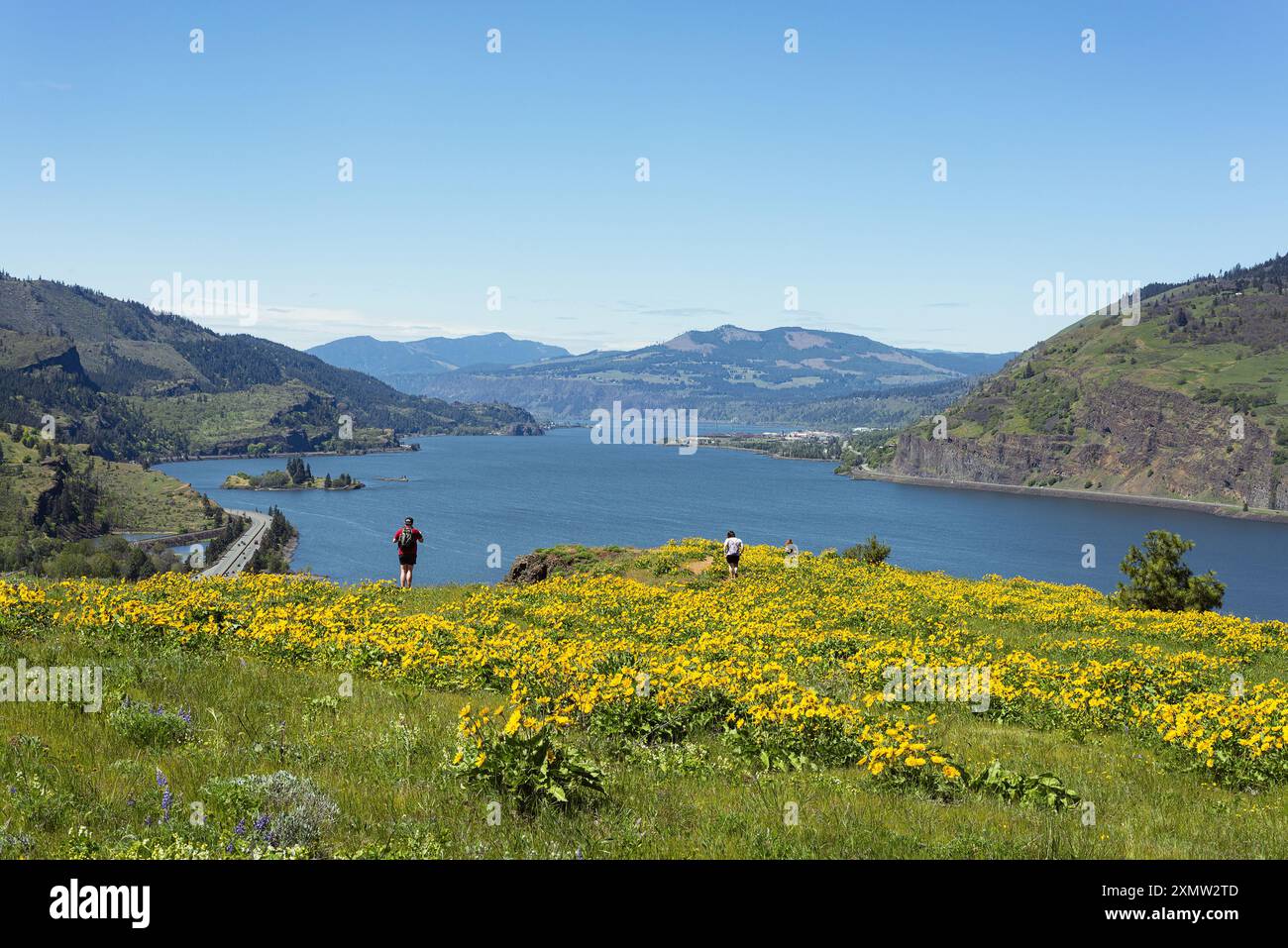 People on the hiking trail on Mosier Plateau during the springtime wildflower bloom. Stock Photo
