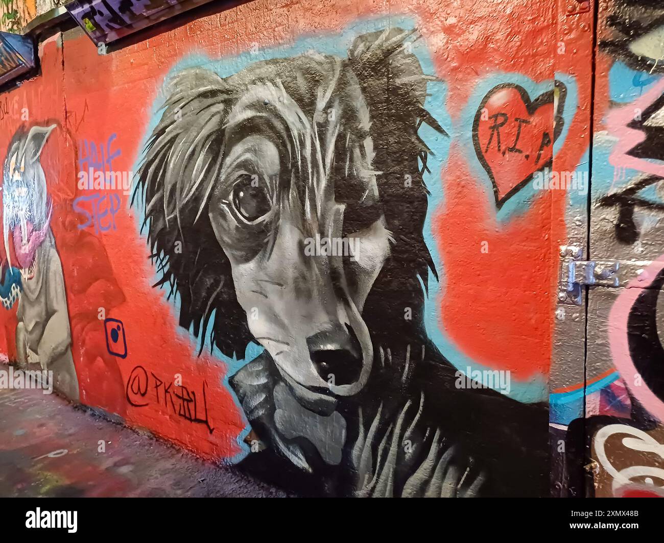 Graffiti Tunnel , Leake Street Stock Photo