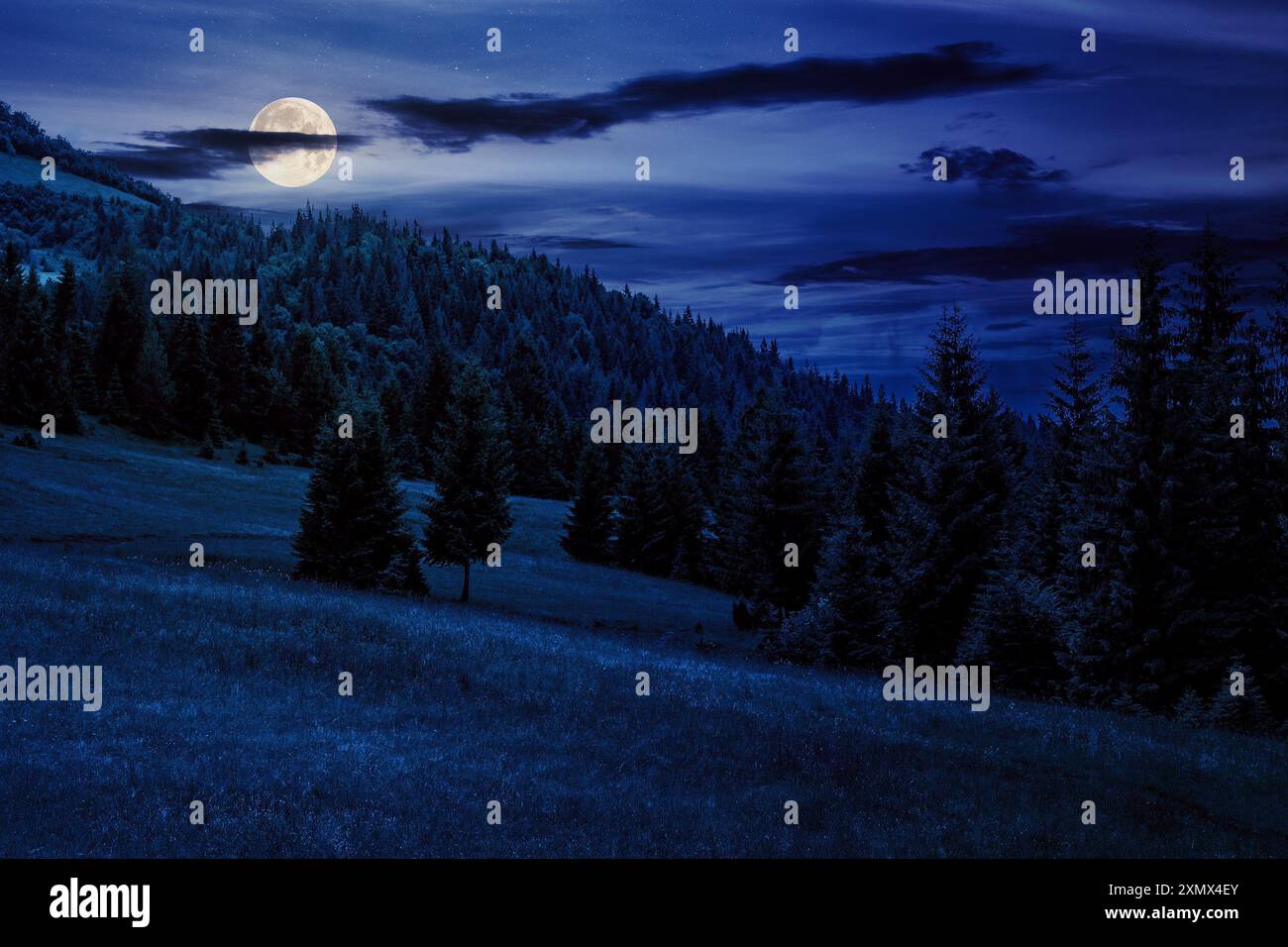 mountain landscape at night. meadow on hill side with coniferous forest. wonderful countryside scenery in full moon light Stock Photo