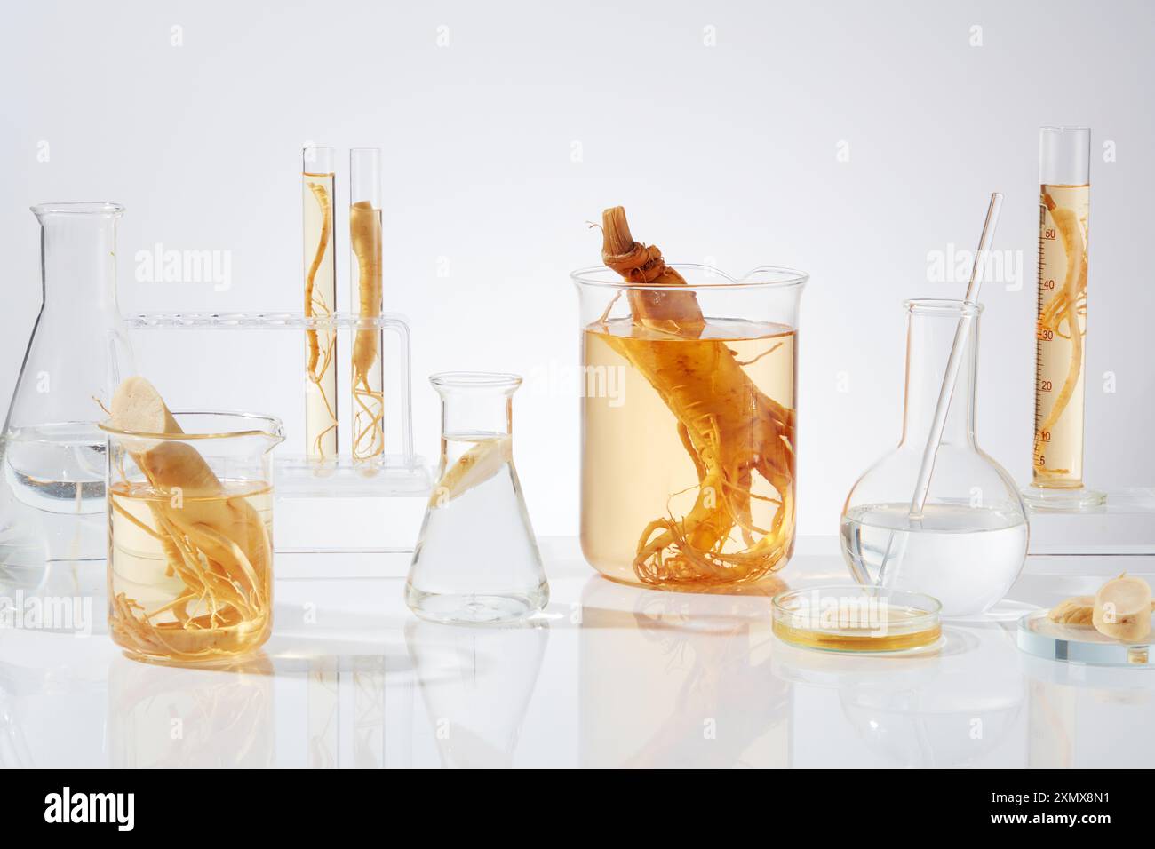 Various types of laboratory glassware with ginseng composition featured ... - Composition Of Texture In Advertisements