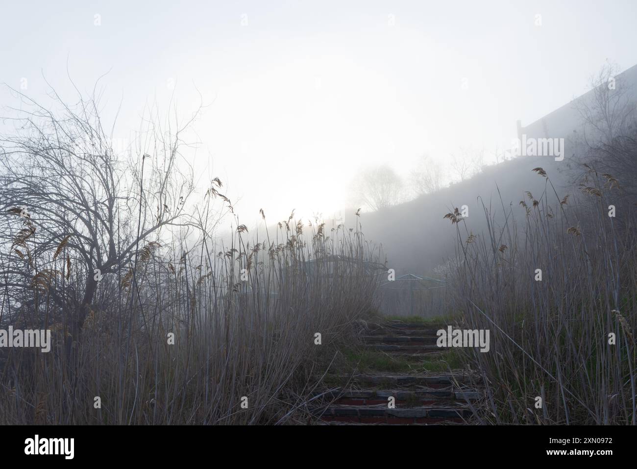 Wonderful morning view peak hi-res stock photography and images - Alamy
