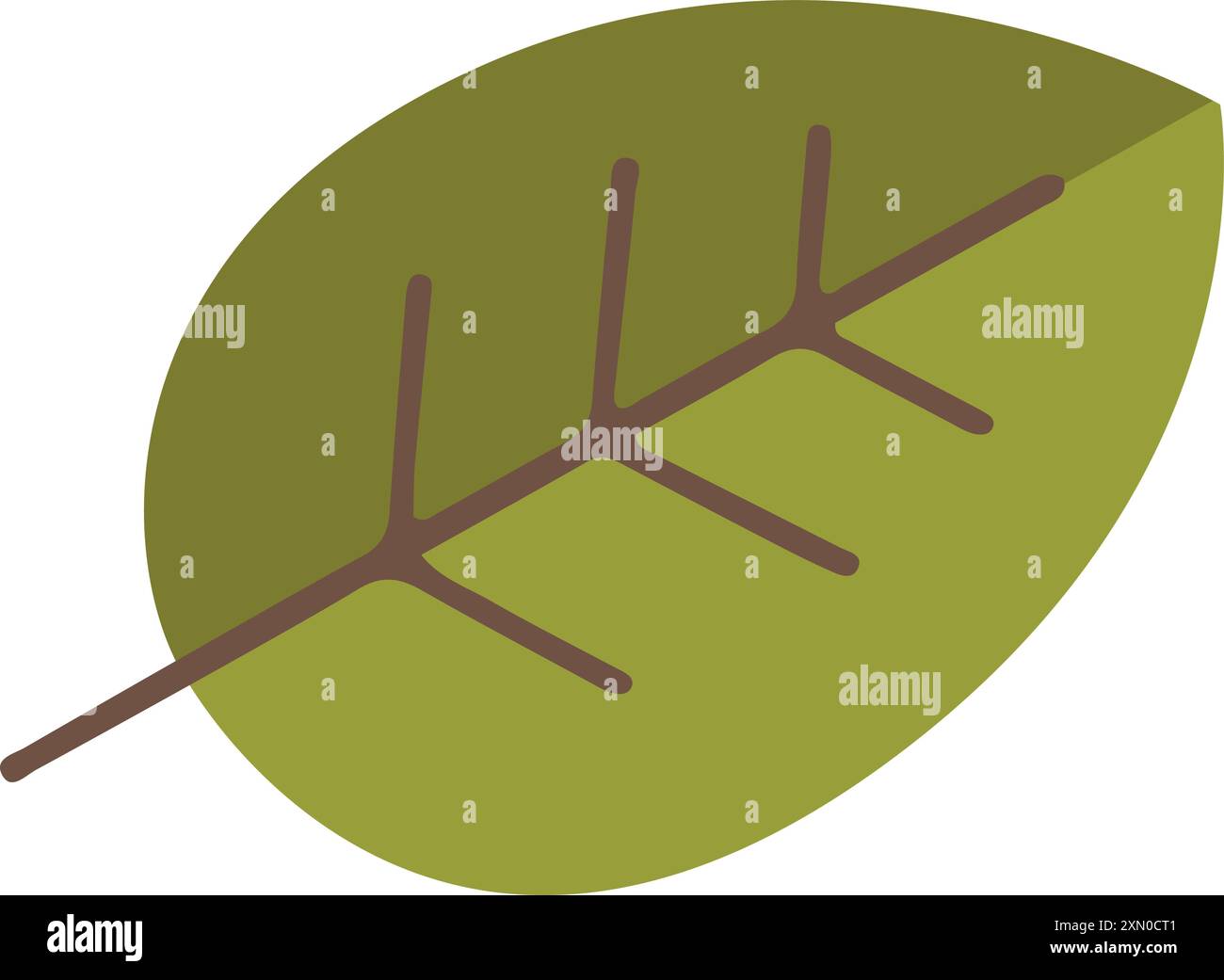 Vector flat illustration of a green autumn leaf Stock Vector Image ...