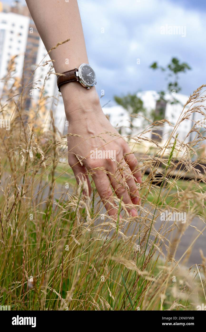 Beauty of our nature hi-res stock photography and images - Alamy