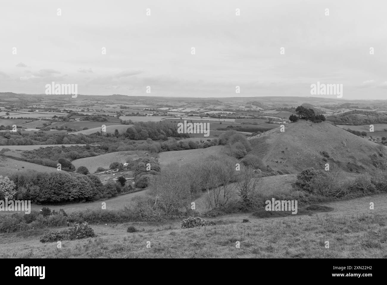 Landscape photo of Colmers hill in Dorset Stock Photo - Alamy