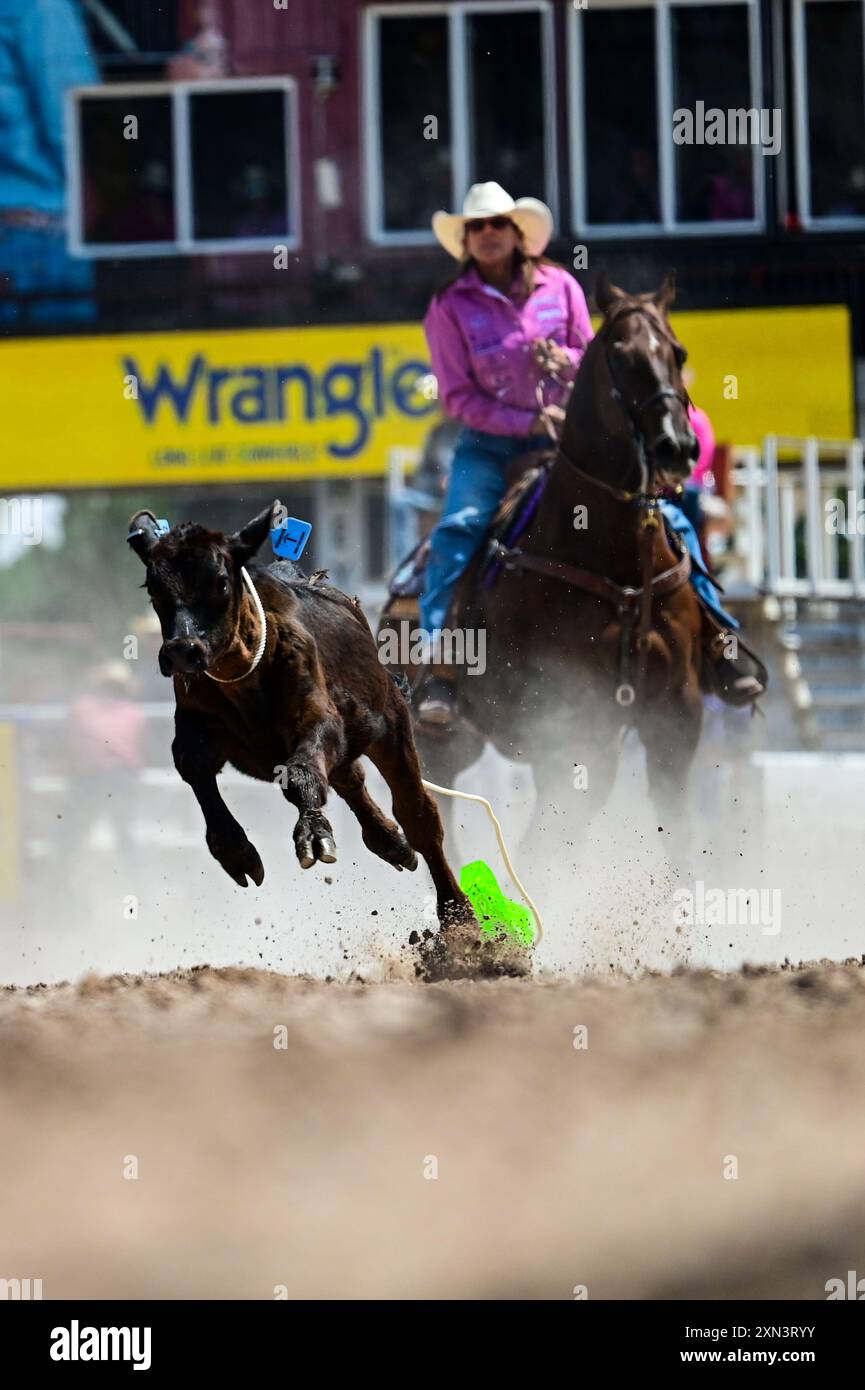 A cowgirl ropes a calf during the break-away roping event roping event ...