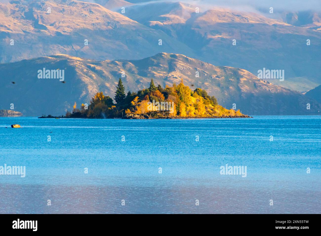 Poplar island lake hi-res stock photography and images - Alamy