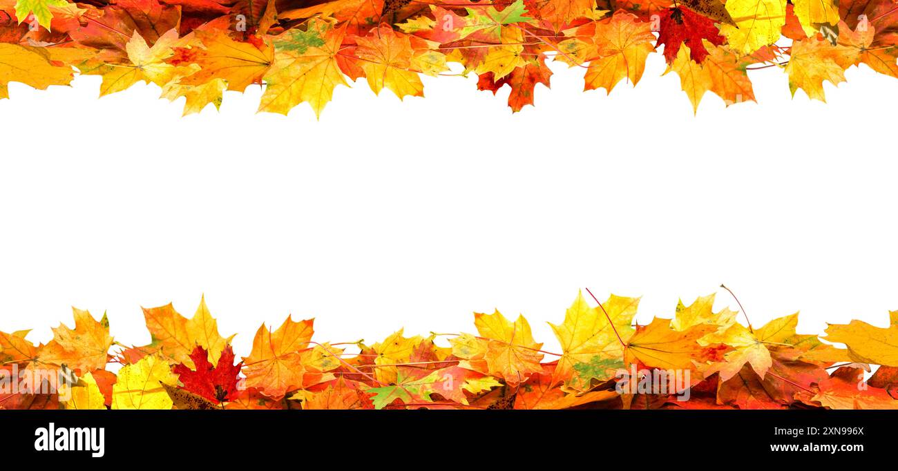 frame of colorful autumn leaves isolated on white background Stock ...
