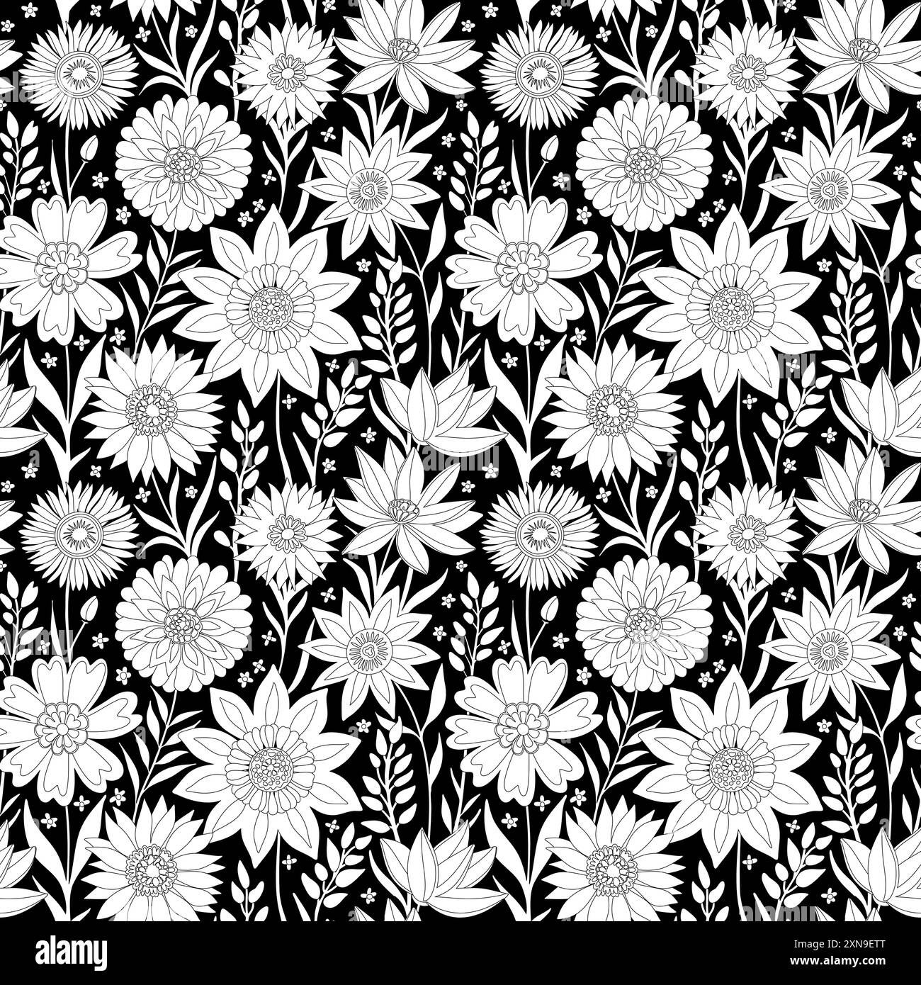 Thin bloom Black and White Stock Photos & Images - Alamy