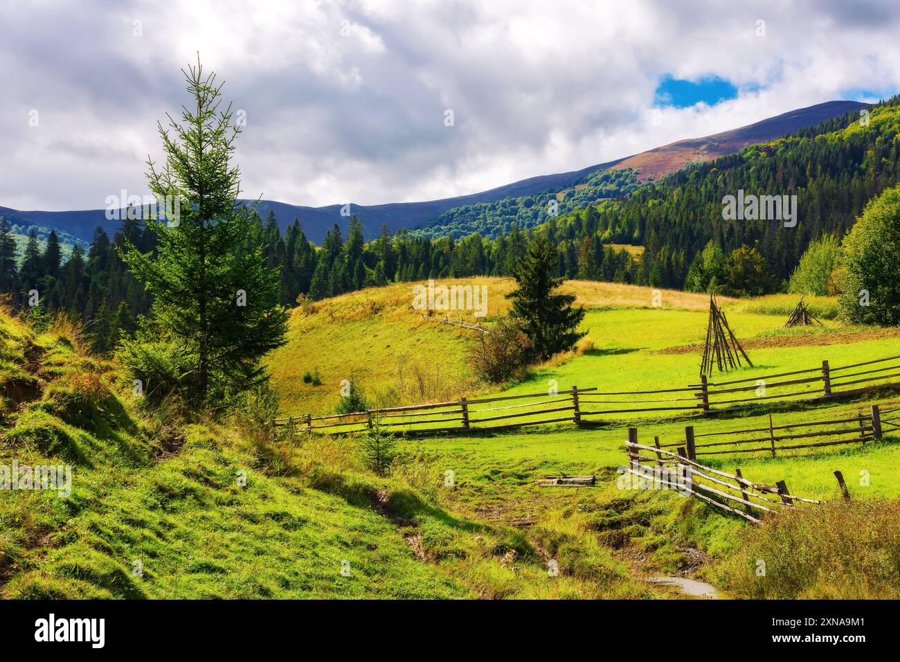 carpathian rural landscape in autumn. beautiful countryside scenery of ukraine on a sunny day. haystacks on the green fields rolling through hills Stock Photo