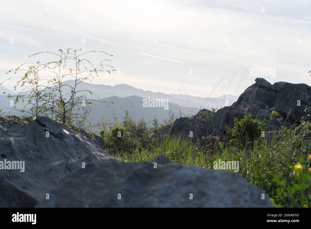 Beautiful mountain landscape during golden hour, soft pastel colors, aerial perspective, grass and rocks, handheld, live camera, particles in the air Stock Photo