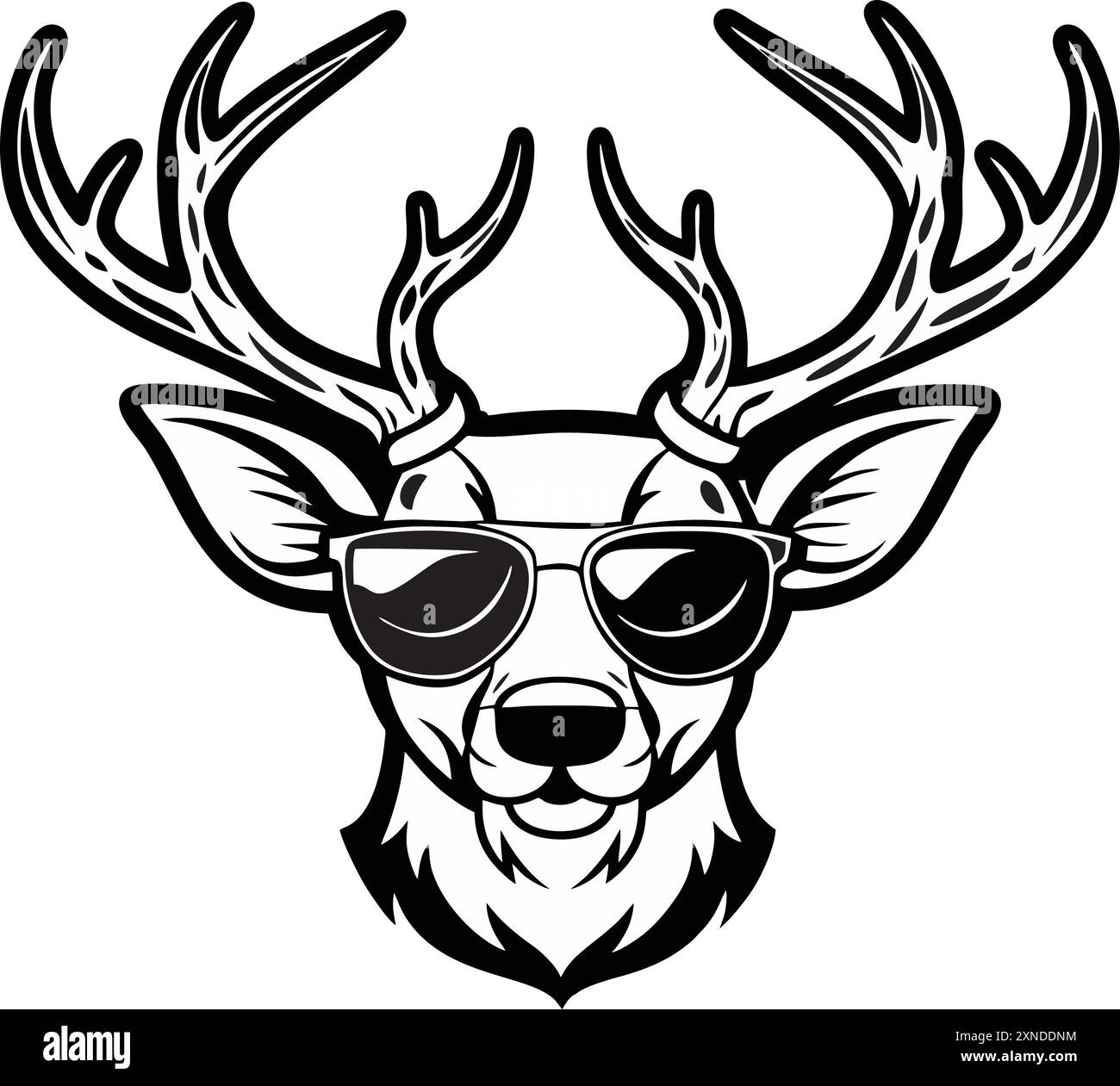 Deer in the black background Cut Out Stock Images & Pictures Alamy