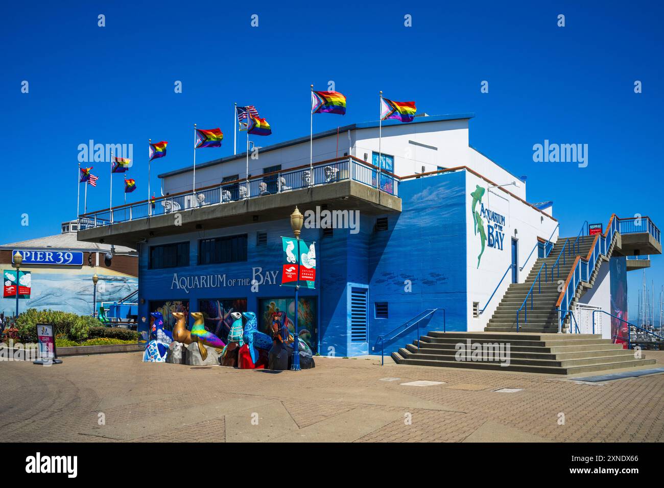 Aquarium of the bay san francisco california usa stock photo alamy