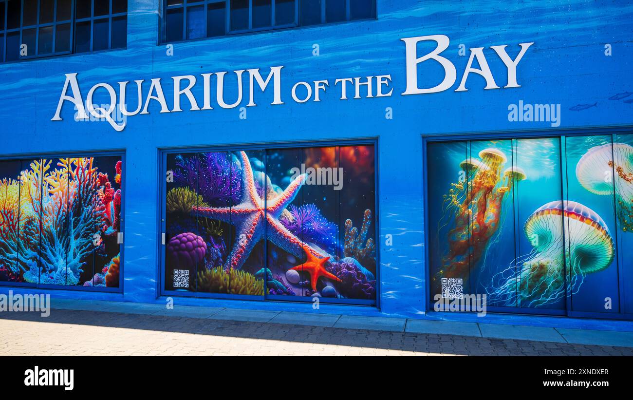 Aquarium of the bay san francisco california usa stock photo alamy