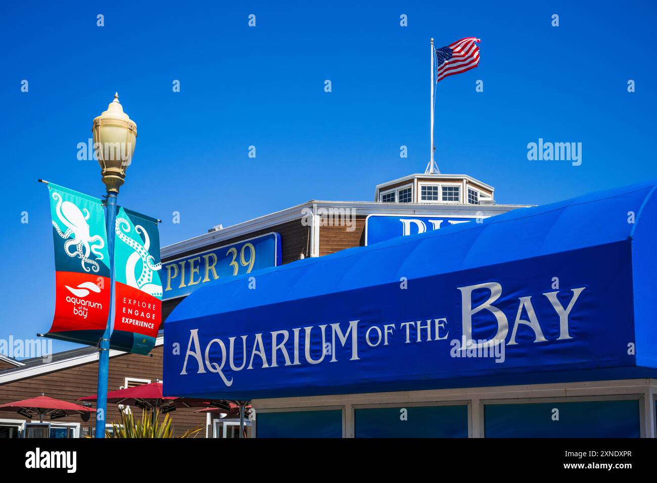 Aquarium of the bay san francisco california usa stock photo alamy