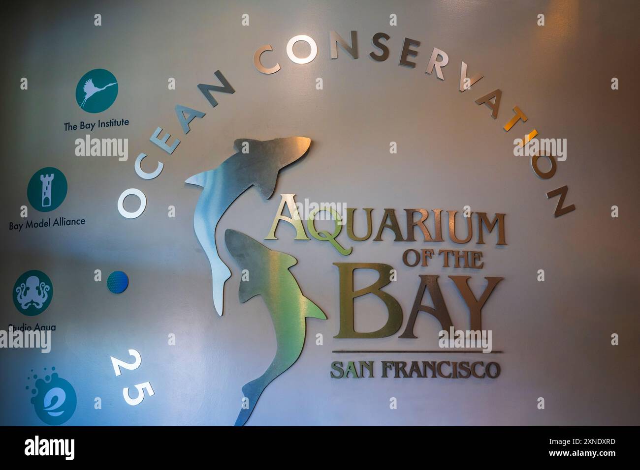 Aquarium of the bay san francisco california usa stock photo alamy