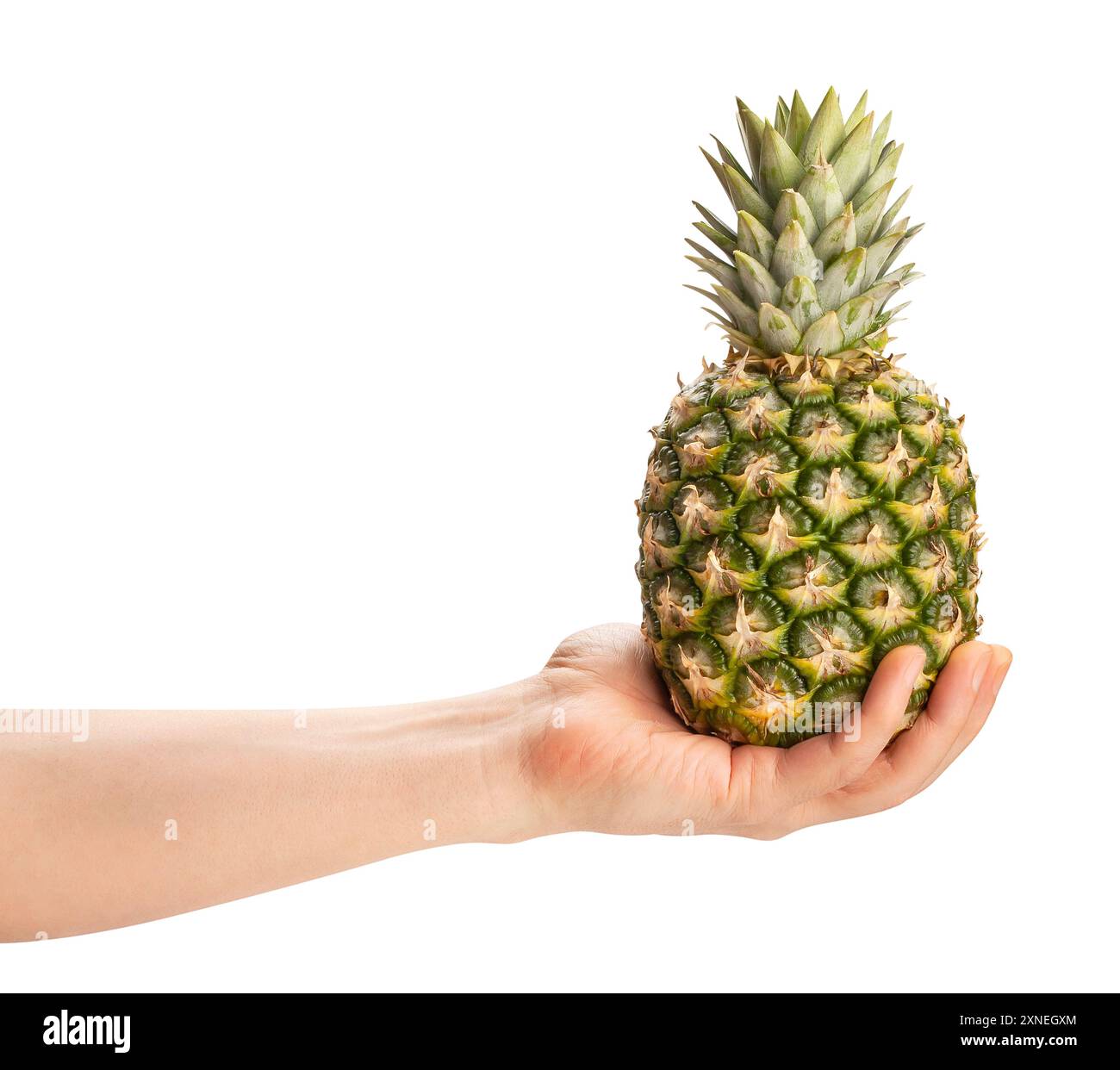 Pineapple in hand on Cut Out Stock Images & Pictures - Alamy