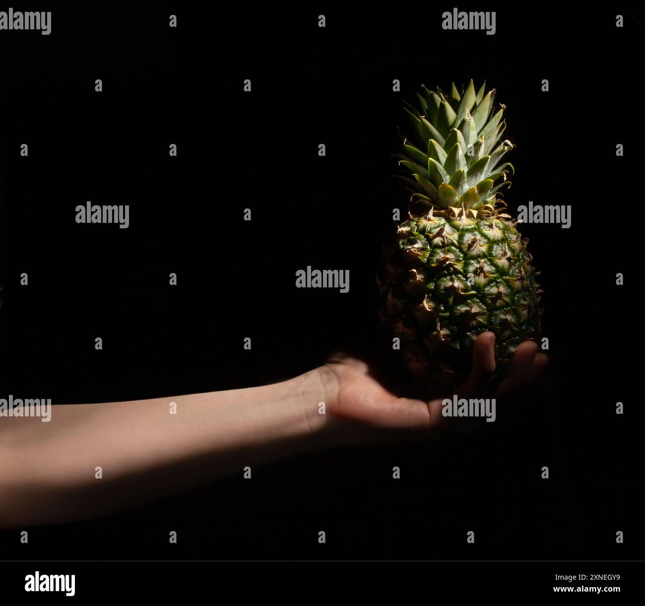 pineapple in hand on black background Stock Photo