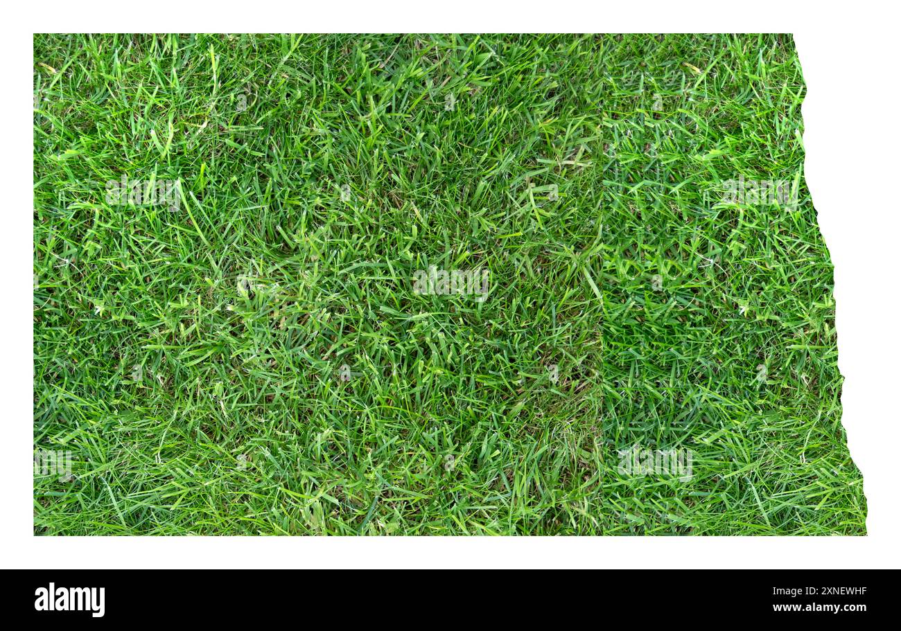 Symbol Map of the State North Dakota - Symbol Map Of The State North Dakota United States Of America Showing The Territory Of The State As A Lawn Football Field 2XNEWHF
