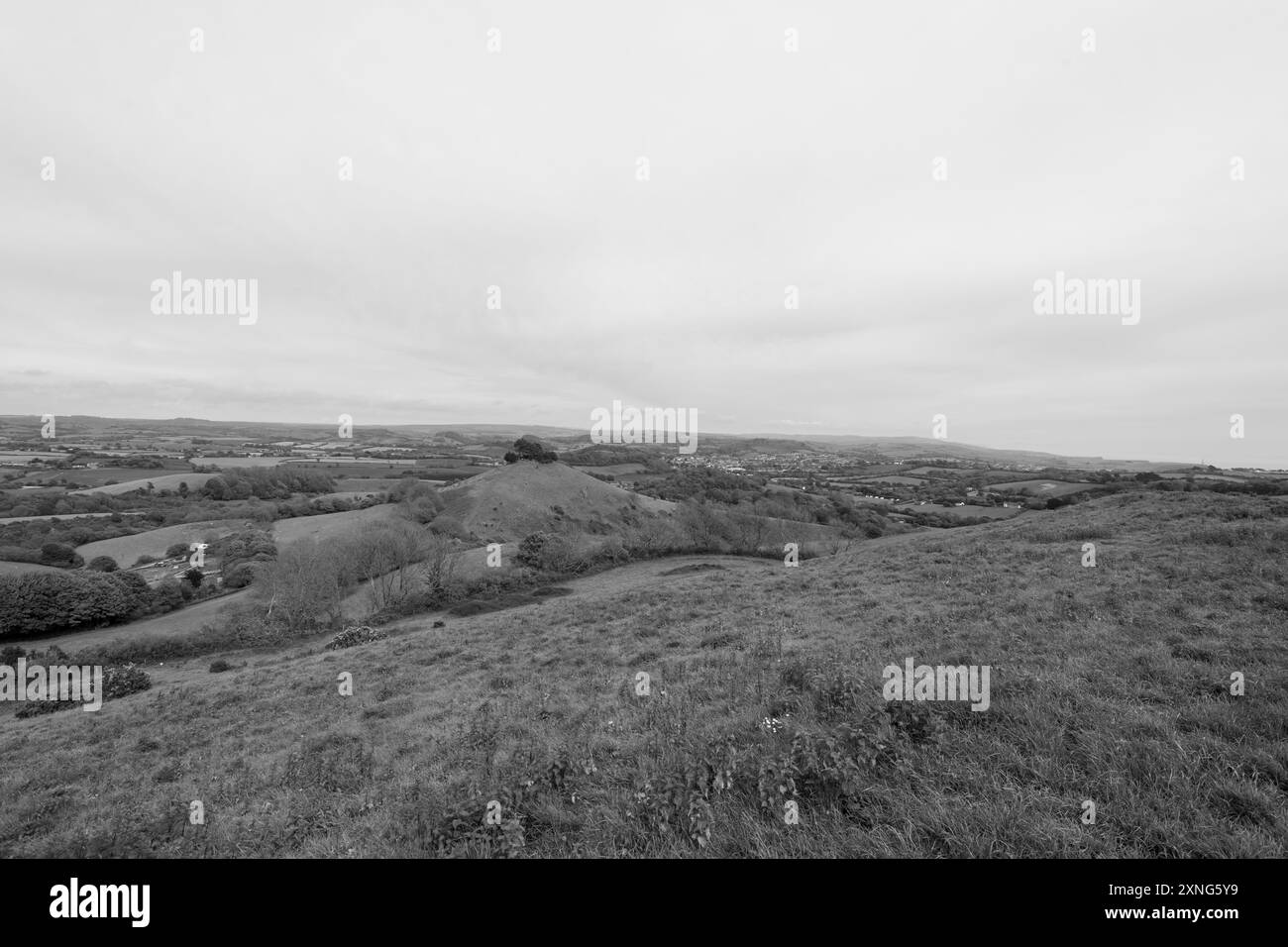 Landscape photo of Colmers hill in Dorset Stock Photo - Alamy