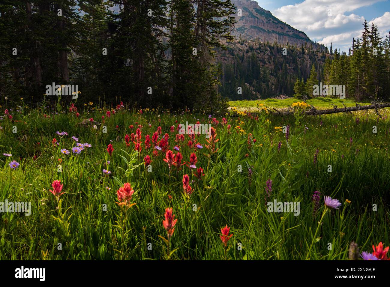 Pristine mountain lake hi-res stock photography and images - Alamy