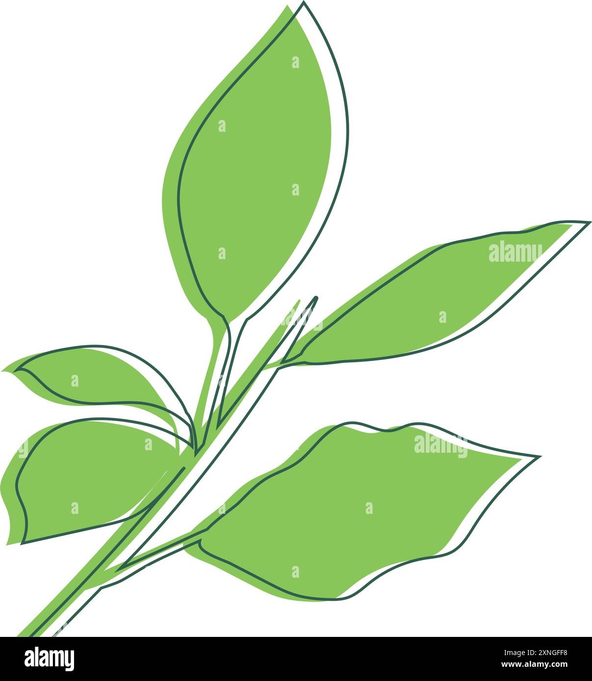 Isolated leaf icon Foliage Vector Stock Vector Image & Art - Alamy
