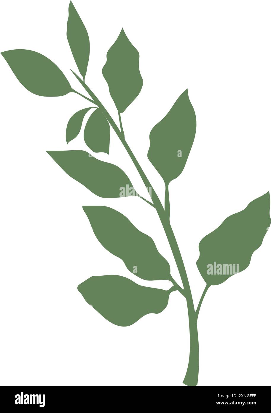 Isolated leaf icon Foliage Vector Stock Vector Image & Art - Alamy