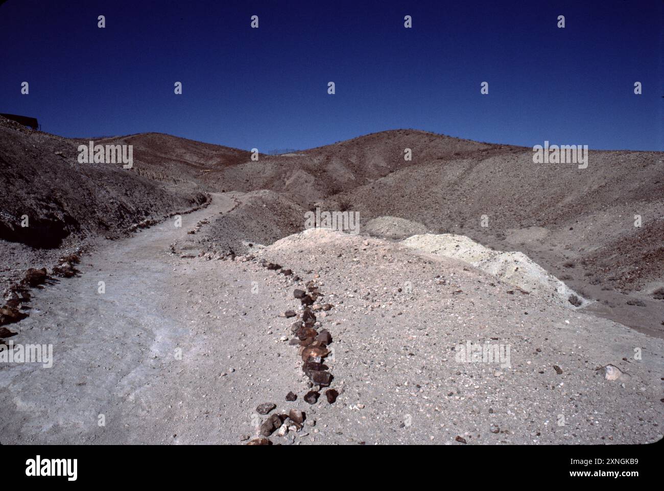 Calico early man hi-res stock photography and images - Alamy