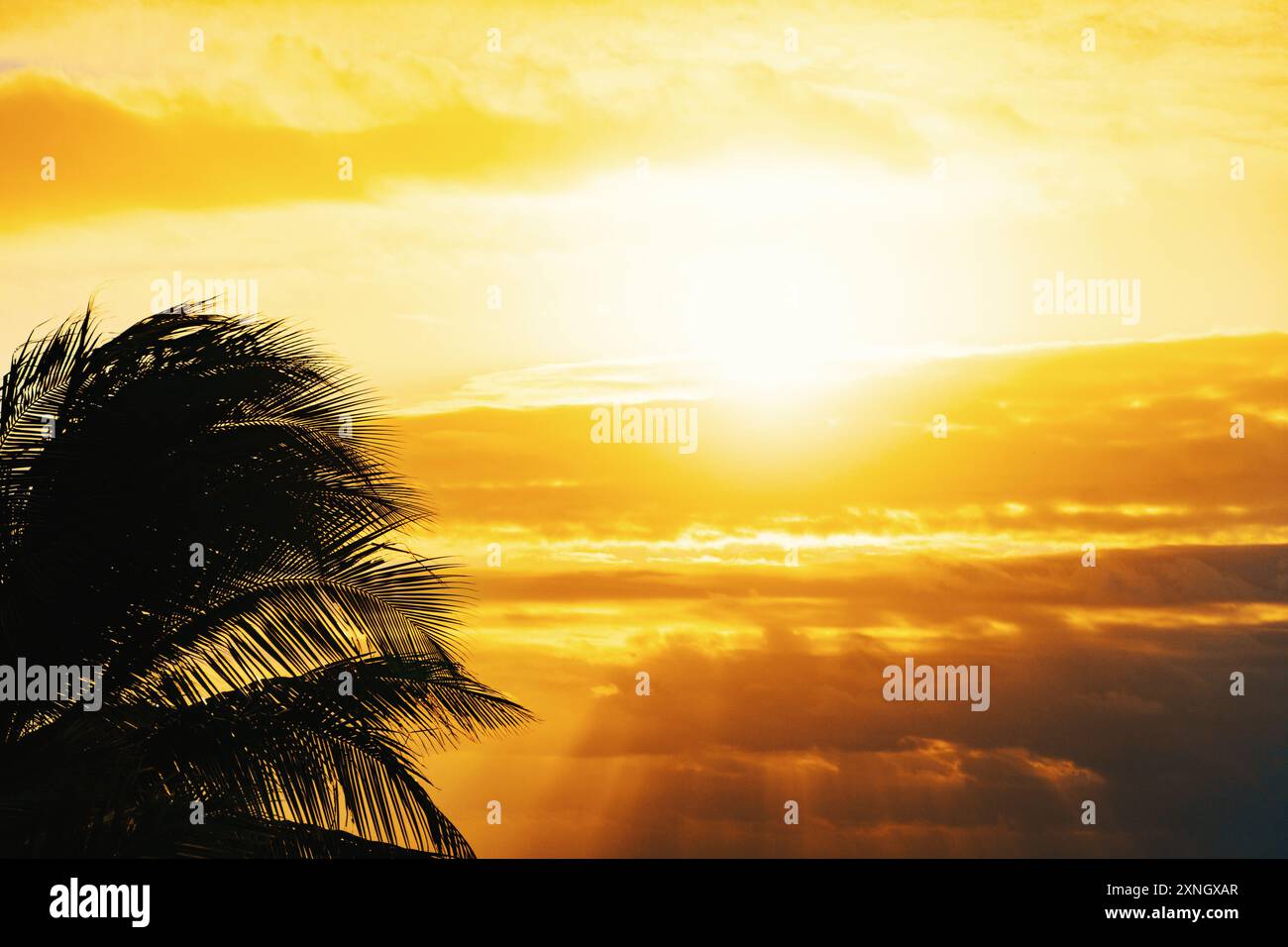 Aerial view serene beach featuring hi-res stock photography and images ...