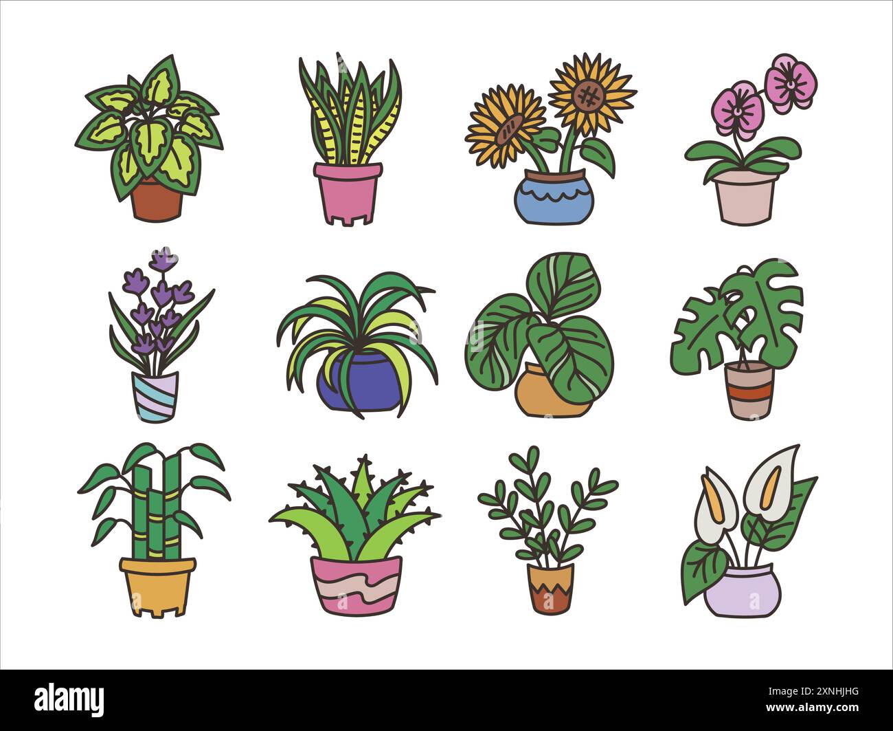 Hand Drawn Doodle Plant Set Stock Vector Image & Art - Alamy