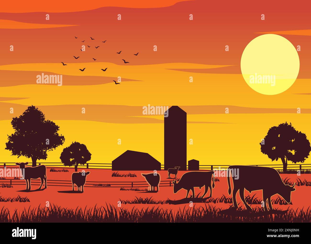 Silhouette design of farm while cows eating the grass on sunset time ...