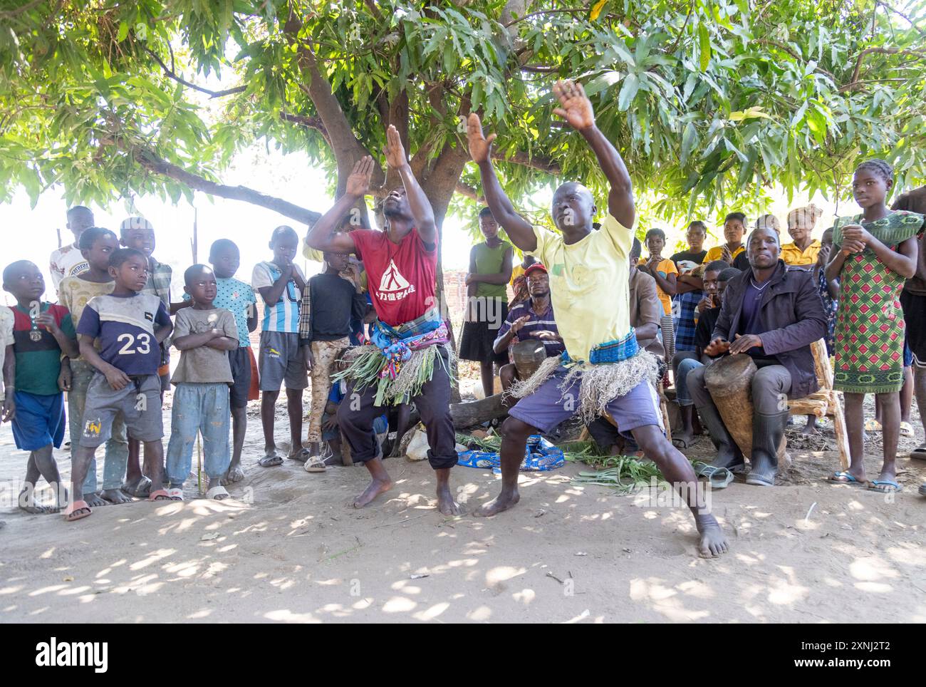 Senga drummers performing a play for conservation in the shade of a tree in a village in rural Zambia Stock Photo