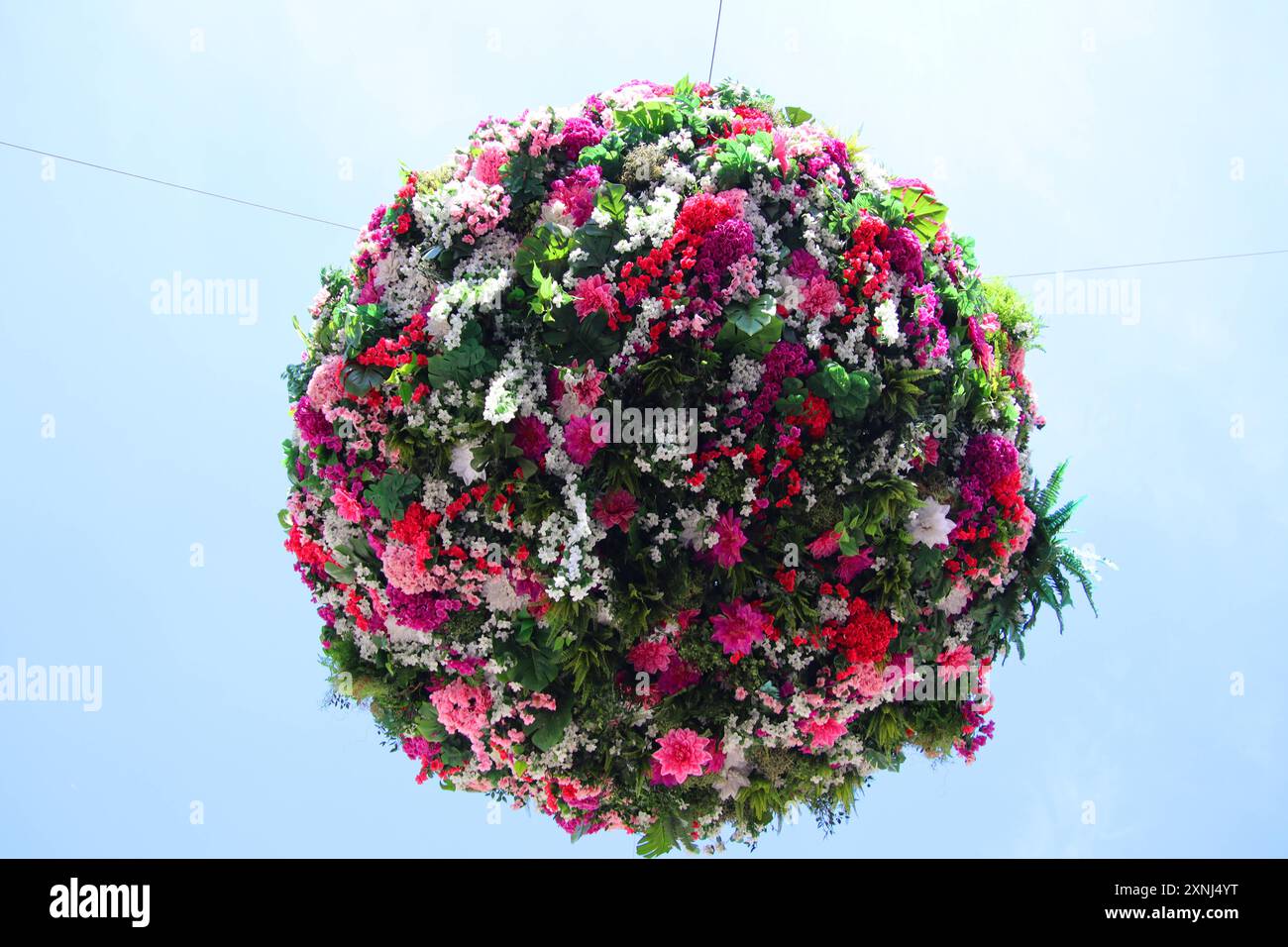 Hamburger Sommergärten: Über einer Kreuzung in der City hängt eine große Blumenkugel. *** Hamburg summer gardens A large ball of flowers hangs above an intersection in the city center Stock Photo