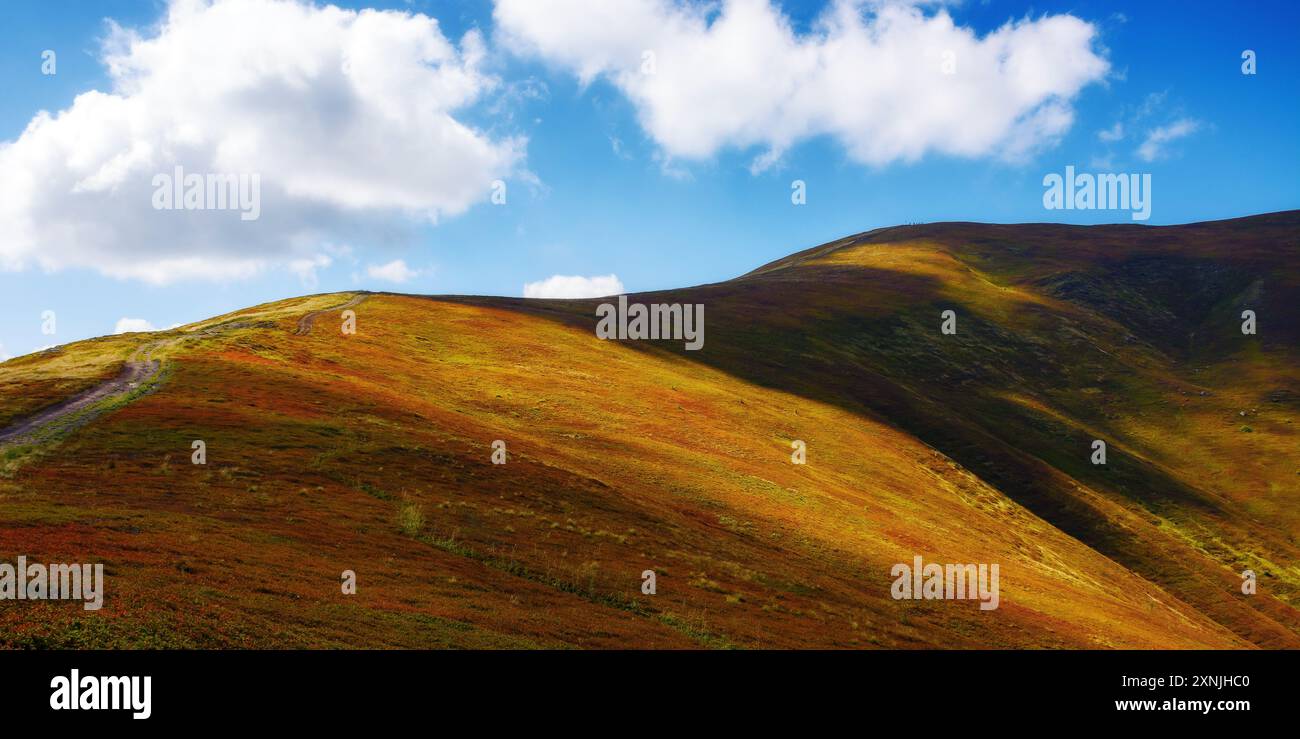 scenery with grassy slopes of borzhava ridge. scenic carpathian mountain landscape in dappled light. popular travel destination of transcarpathia in l Stock Photo