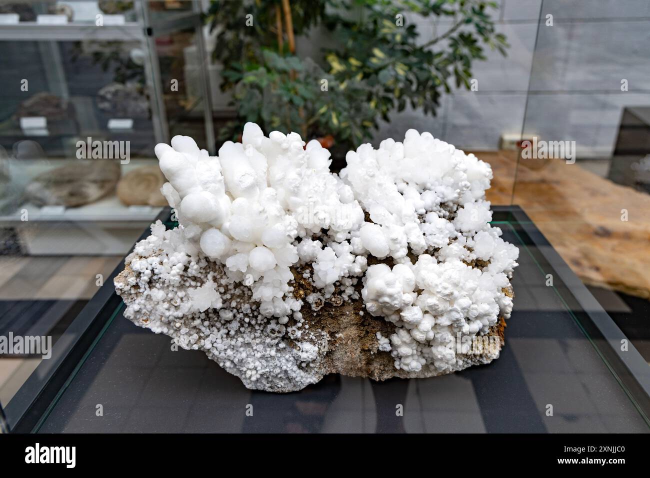 Aragonite specimen, Geological Museum, Warsaw, Poland Stock Photo