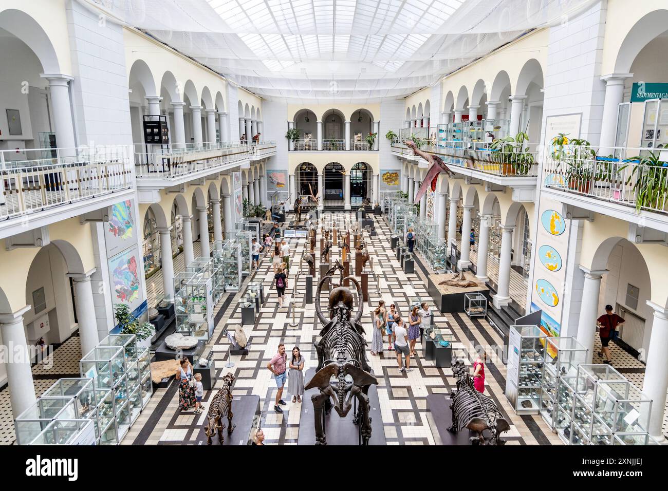 Interior of the Geological Museum in Warsaw, Poland Stock Photo