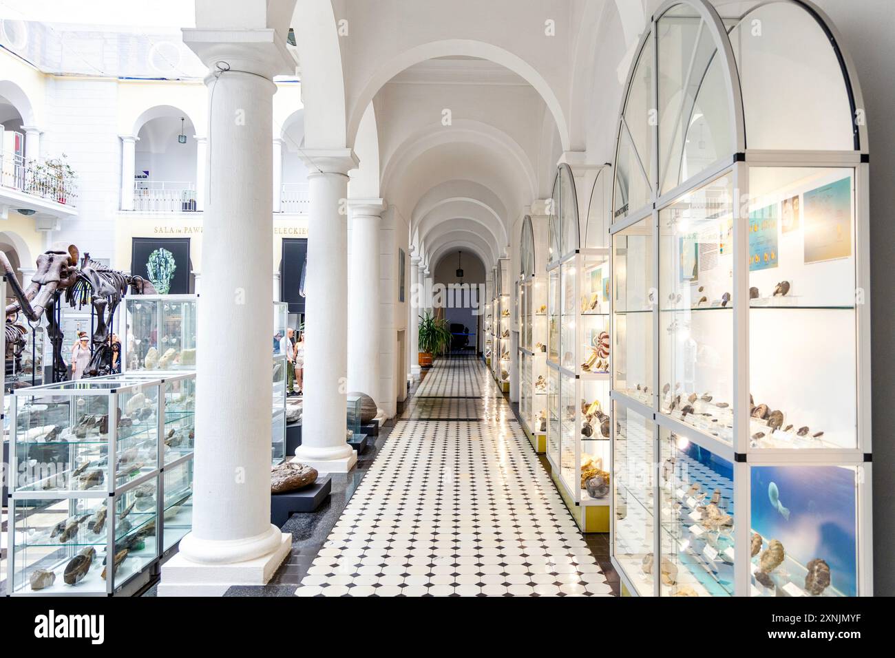 Mineral display cabinets at the Geological Museum in Warsaw, Poland Stock Photo