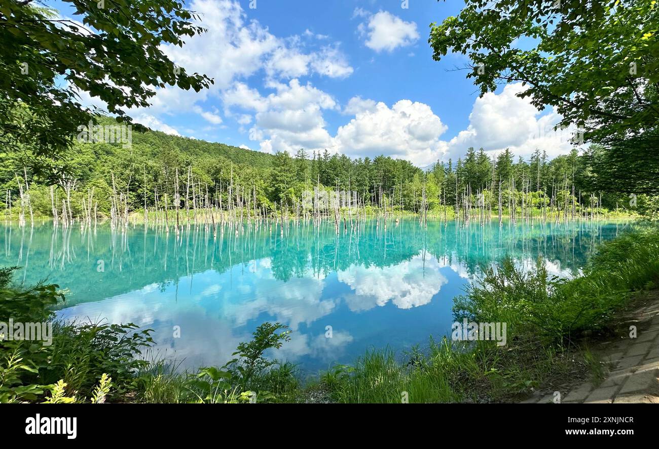 Beautiful scenery Blue Pond, aoi-ike in Japanese, in summer Shirogane ...