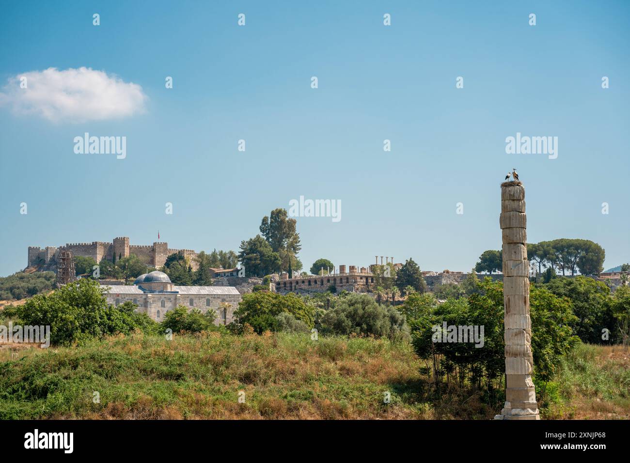 The ruins of the Temple of Artemis, located in the Selçuk district of