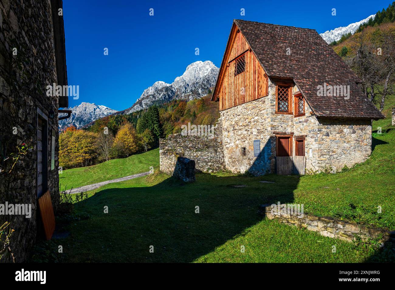 val-pesarina-immersed-in-autumn-atmospheres-among-woods-and-the