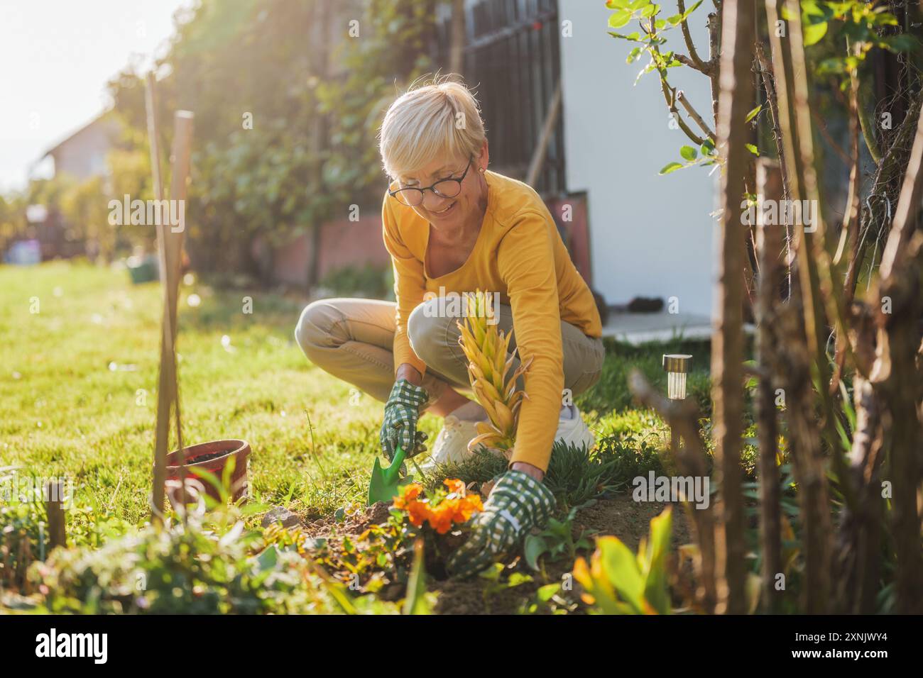 Happy senior woman gardening in her yard. She is is planting a flower ...