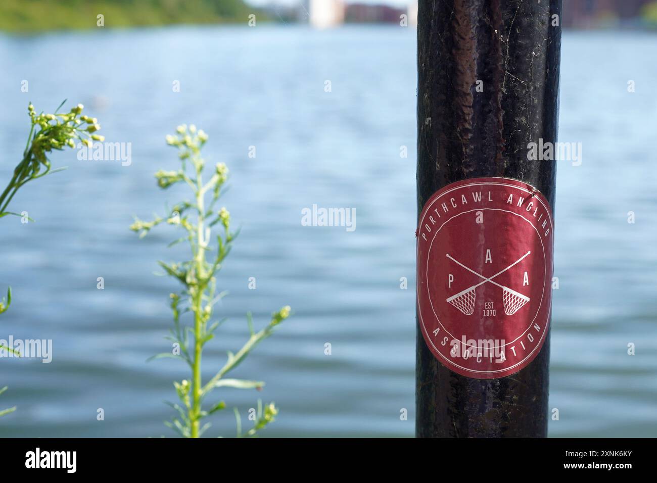 Porthcawl Angling Association Lamp Post Sticker around the Wharf., Cardiff, July 2024 Stock Photo