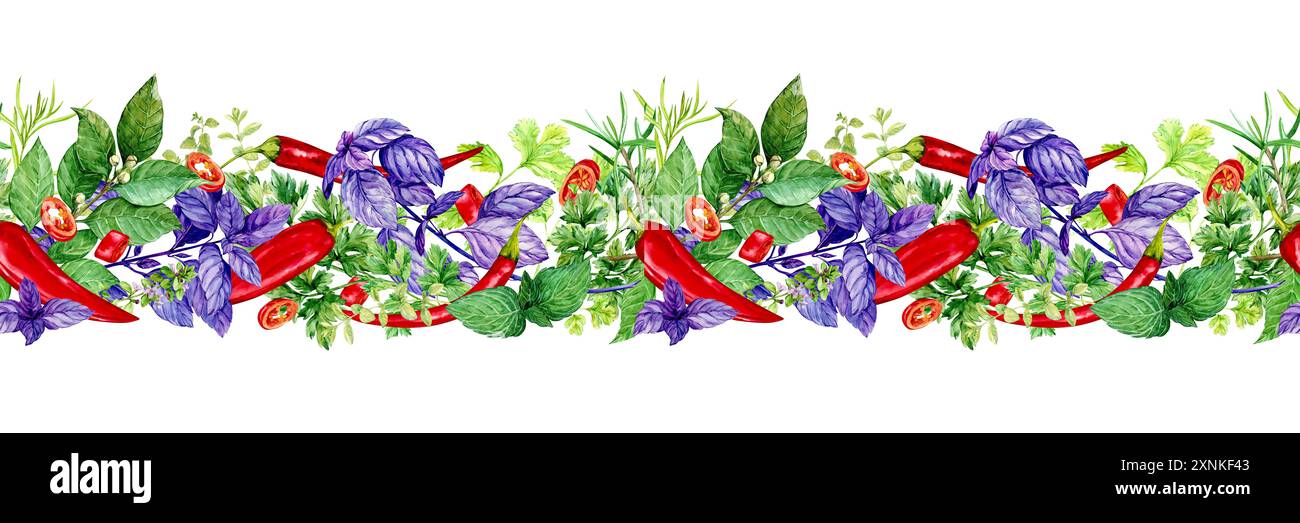 Seamless pattern with kitchen herbs. Rosemary, thyme, chili, basil, mint, bay leaf, cilantro, parsley, paprika. Watercolor botanical illustration. Spi Stock Photo