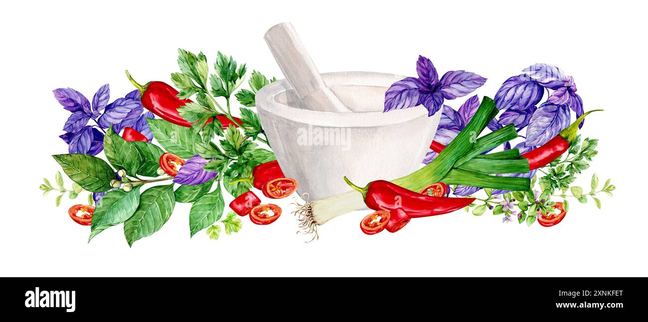 Spicy herbs and white mortar. Watercolor illustration of kitchen herbs. Bay leaf, rosemary, tarragon, savory, basil, chili pepper, leek, rosemary - tr Stock Photo