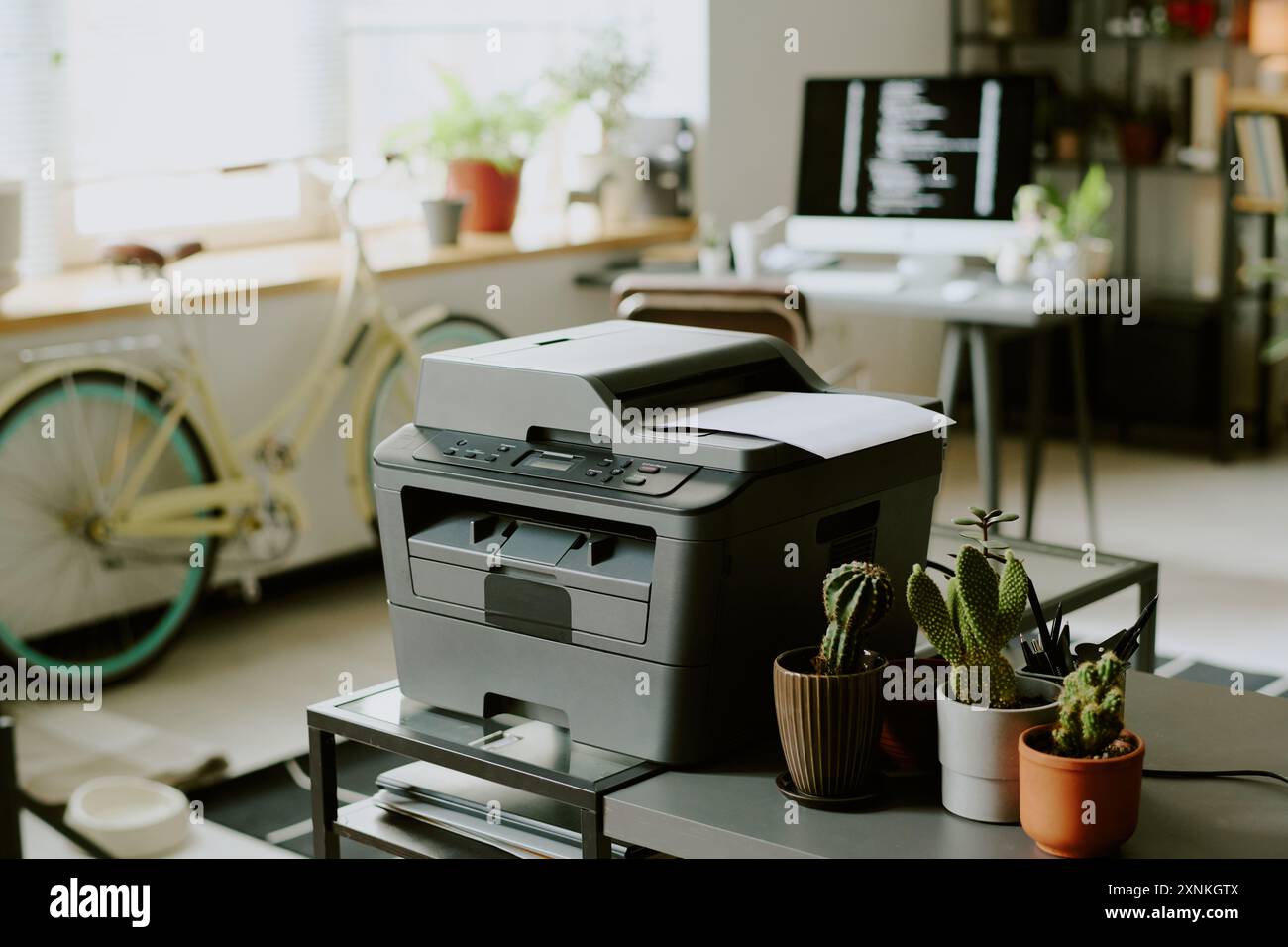 No people shot of modern printer and cactuses in pots on table in modern office interior, copy space Stock Photo