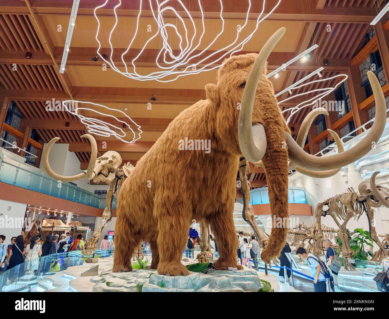 A mammoth model is displayed at the Changbai Mountain Mammoth theme park in Yanbian, Northeast China's Jilin province, July 16, 2024. An international Stock Photo