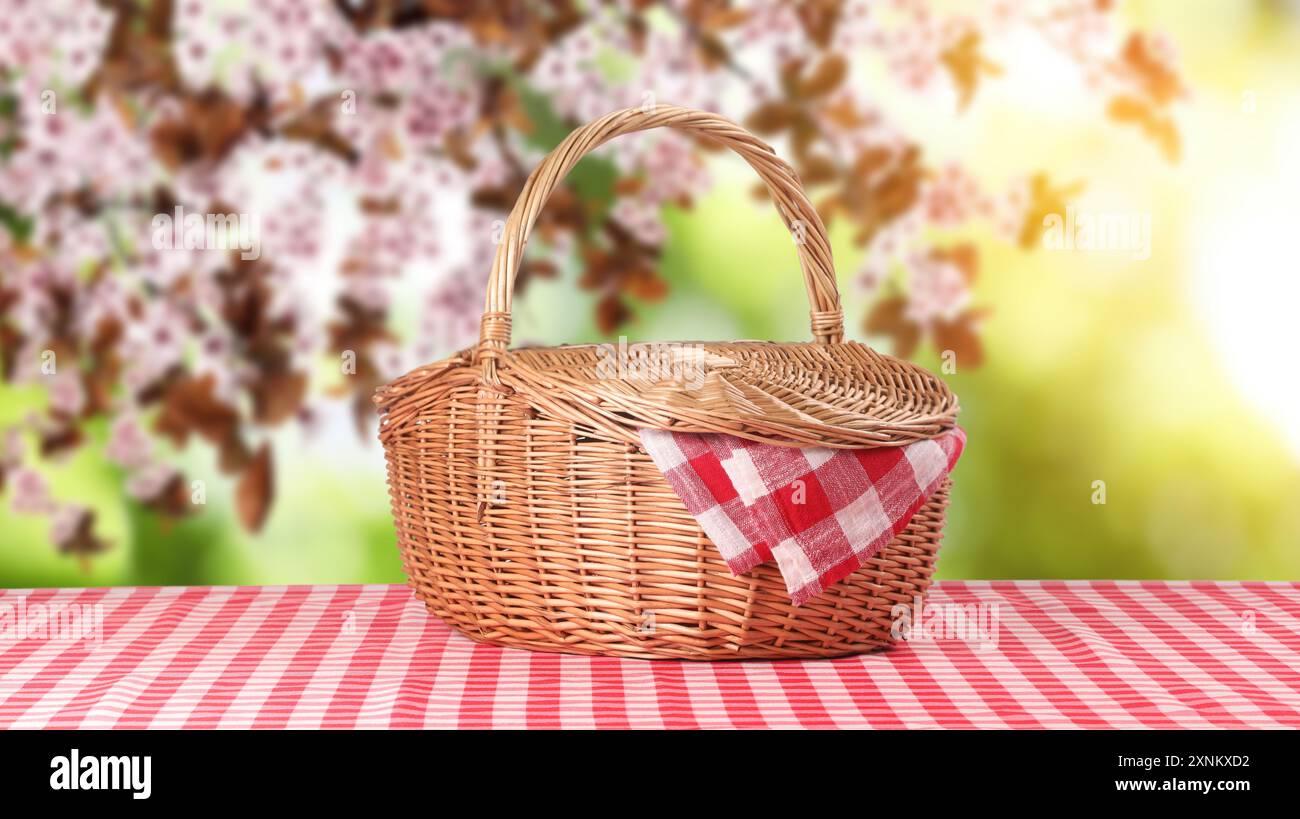 Wicker picnic basket with red checkered napkin on table in nature ...