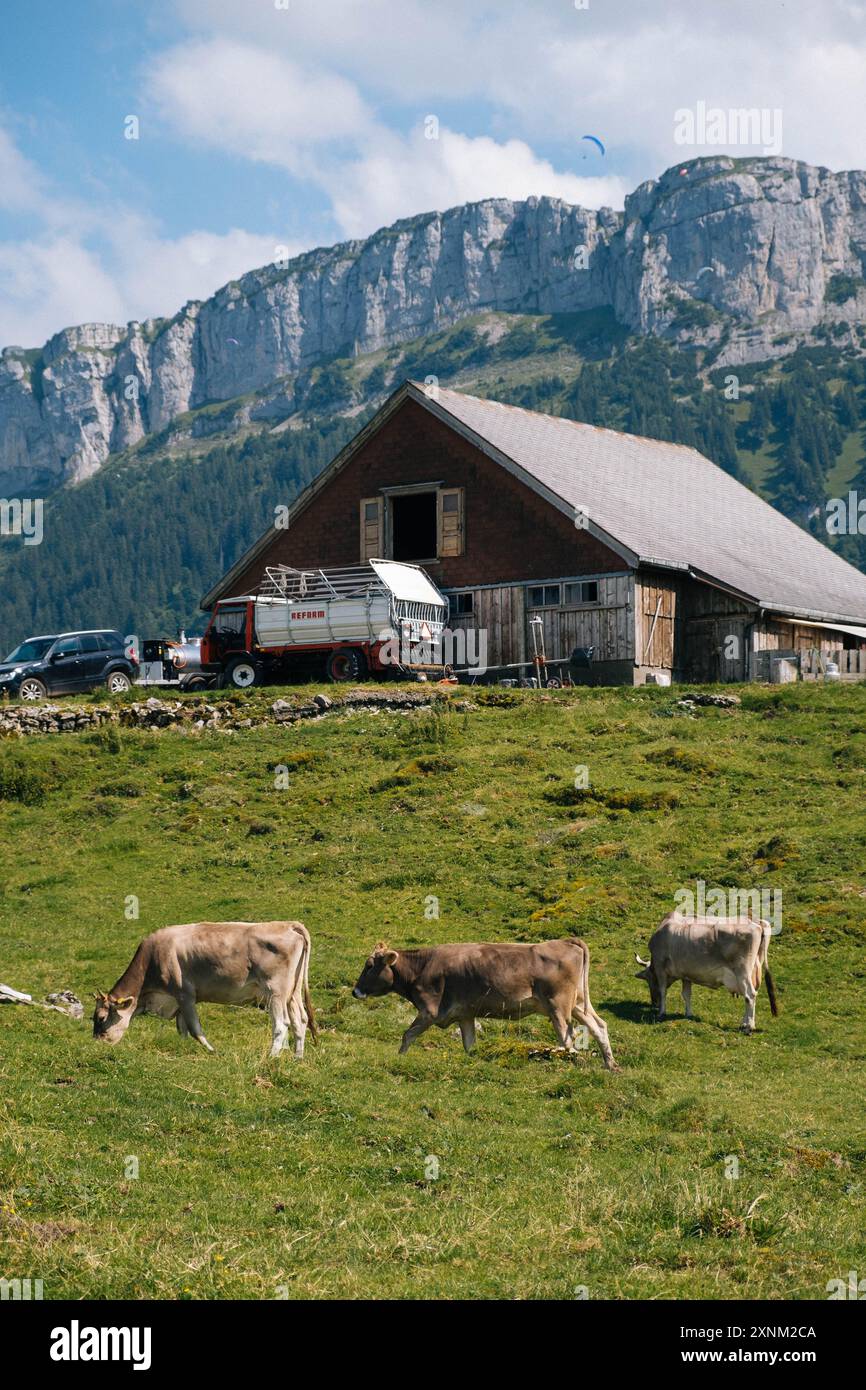 Experience the Swiss Alps with photos from a hike in the Appenzell ...